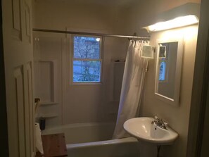 Hair dryer, bidet, towels, soap - Spring fed Lake front home floating dock and boats (Milford)