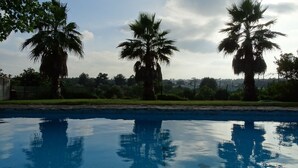A swimming pool with reflections of palm trees and a clear sky.
