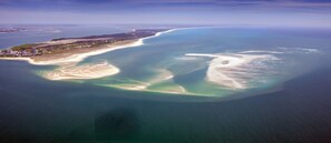 Beach - Holiday Home 'Casa Das Figueiras' with Private Pool, Private Terrace and Wi-Fi (Pinhal Novo)