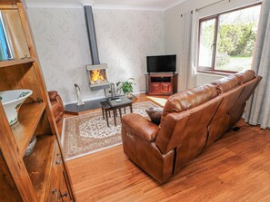 A living room with a leather sofa, a fireplace, a television, and a bookshelf. - Harvest Hill (Haverfordwest)