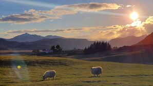 A rural landscape with two sheep grazing, a body of water, and mountains in the background. - Stafafell Nature Park Camping (Stafafell)
