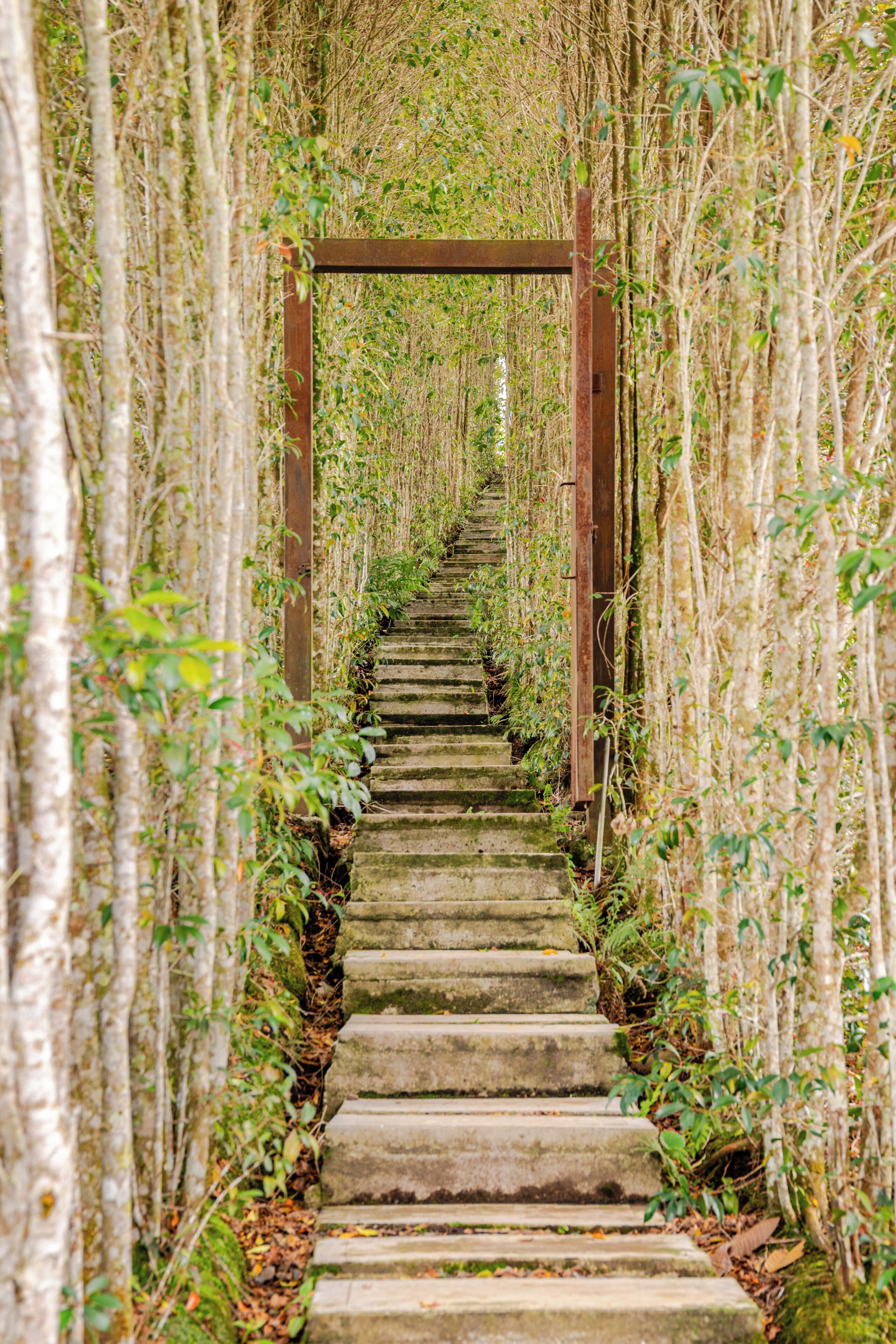 Deluxe Cabin, 1 Queen Bed, Private Bathroom, Mountain View | Property grounds