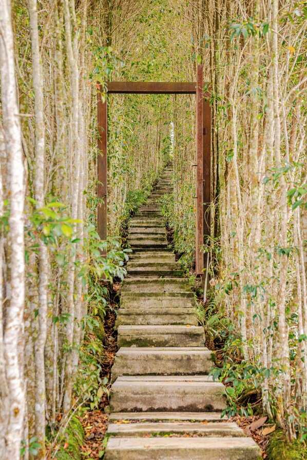 Deluxe Cabin, 1 Queen Bed, Private Bathroom, Mountain View | Property grounds