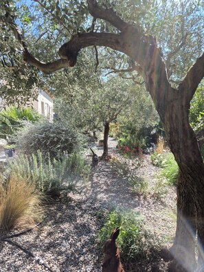 Property grounds - Single-storey house with swimming pool (Lauris)