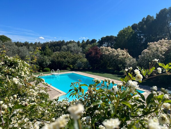 A swimming pool surrounded by lush greenery and trees.
