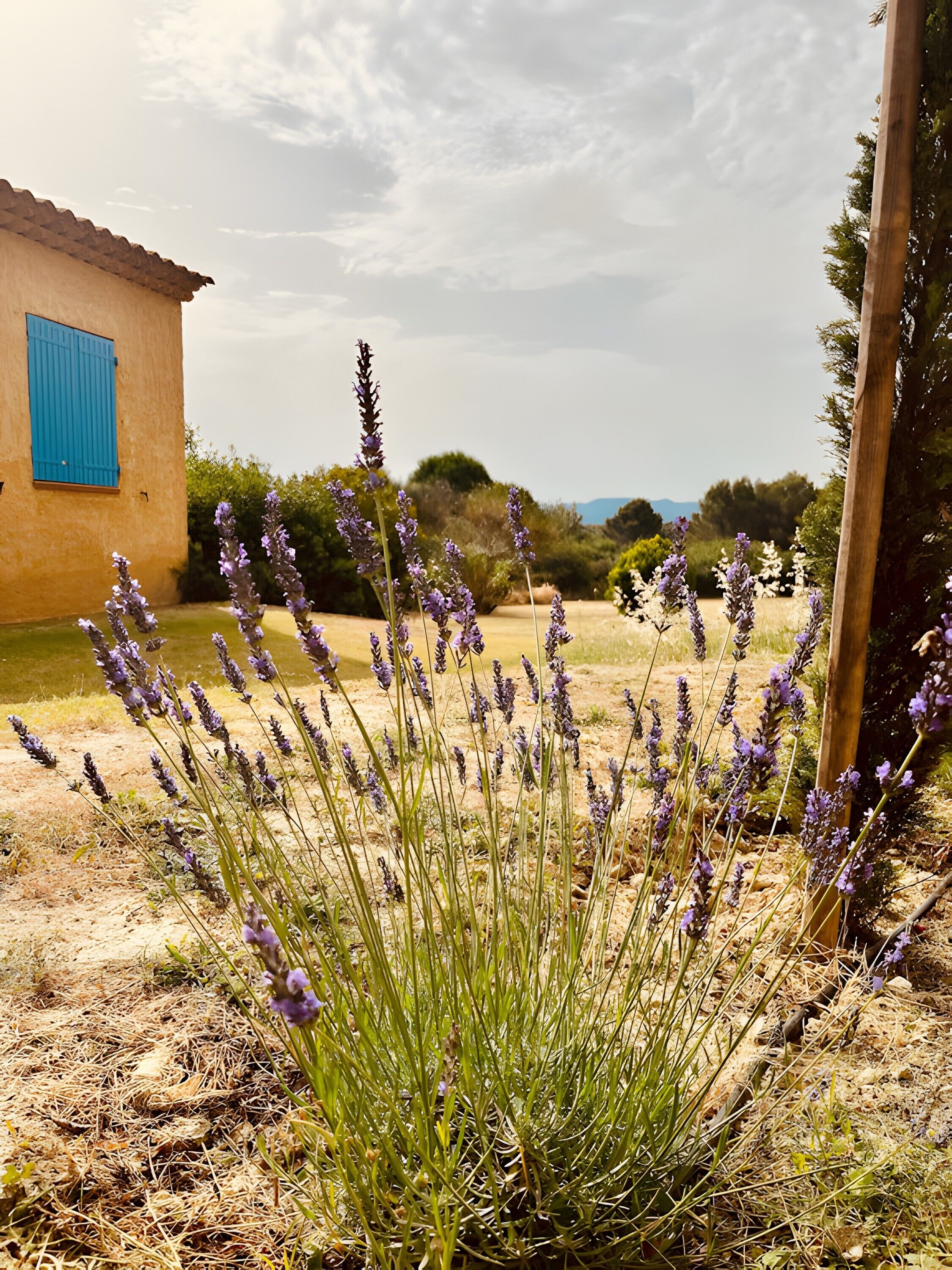 Parco della struttura