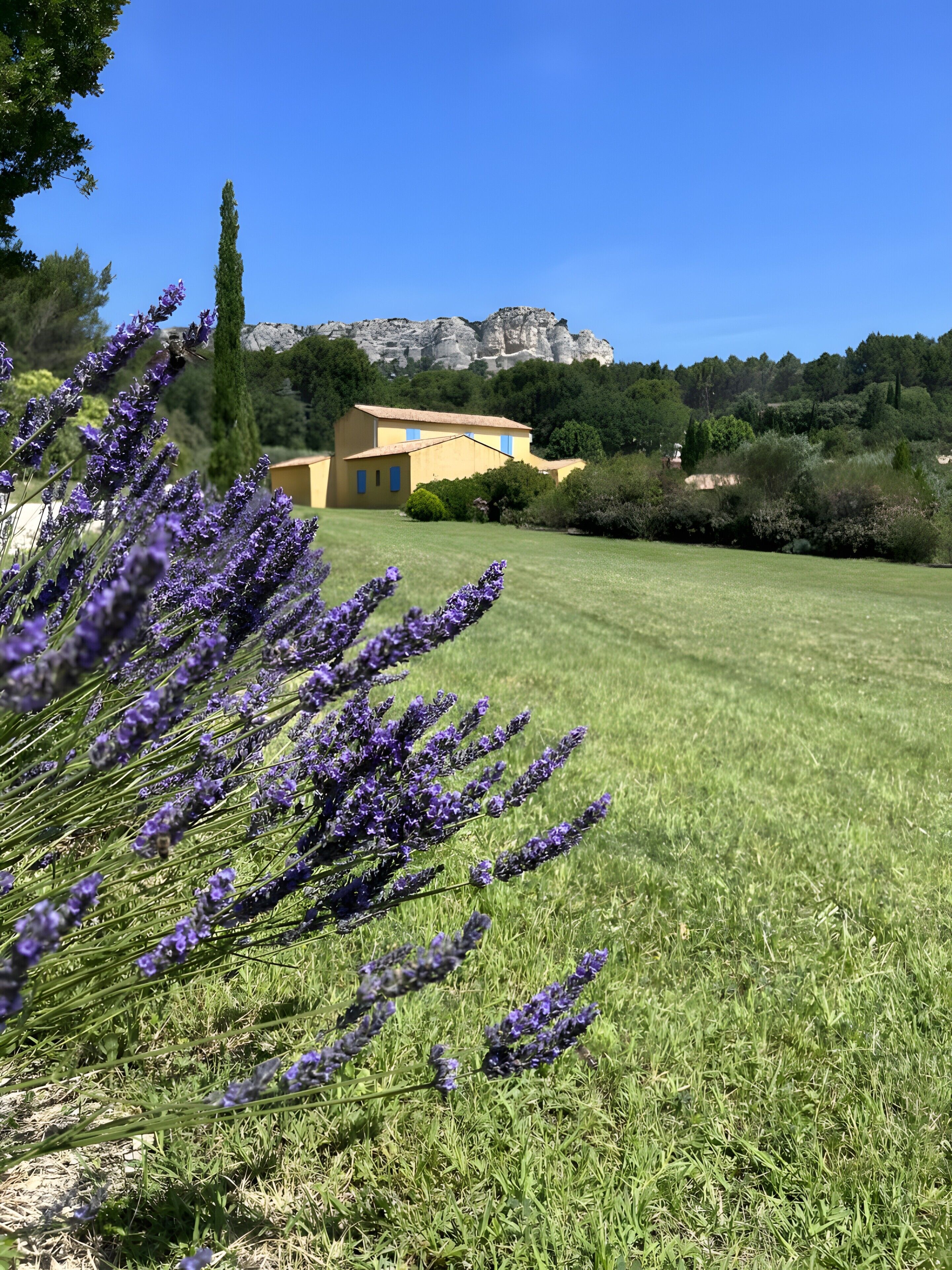 Overnatningsstedets område