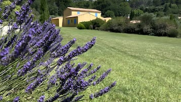 Overnatningsstedets område