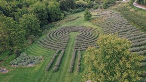 A large, circular garden with a central path, surrounded by neatly trimmed hedges and trees. - Lavender Retreat | With Jacuzzi and Sauna (Kamnica)