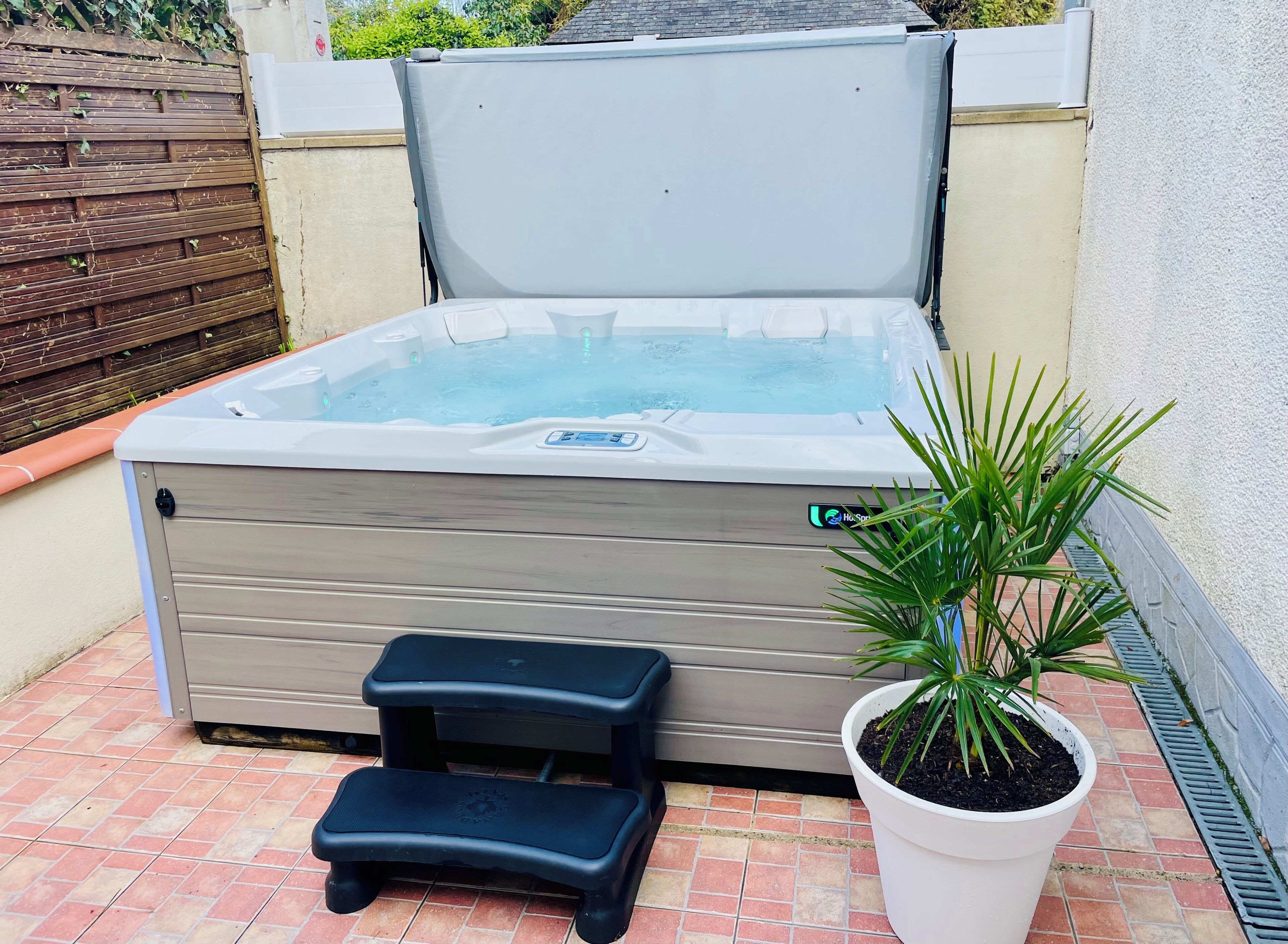 Un bain à remous avec un petit marchepied et une plante en pot.
