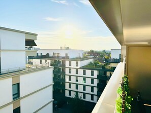 Property grounds - Schiltigheim: 6th Floor Studio with Terrace (Schiltigheim)