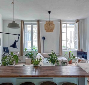 TV - 70 m² apartment with terrace in the heart of Paris (Paris)