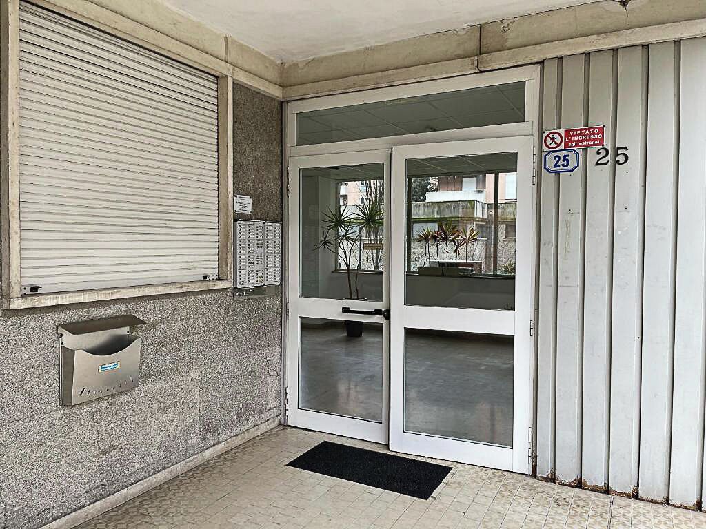 外観の詳細