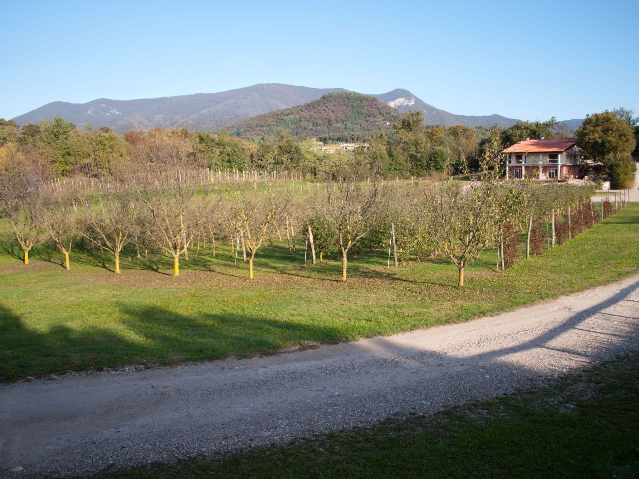 Terrain de l’hébergement 