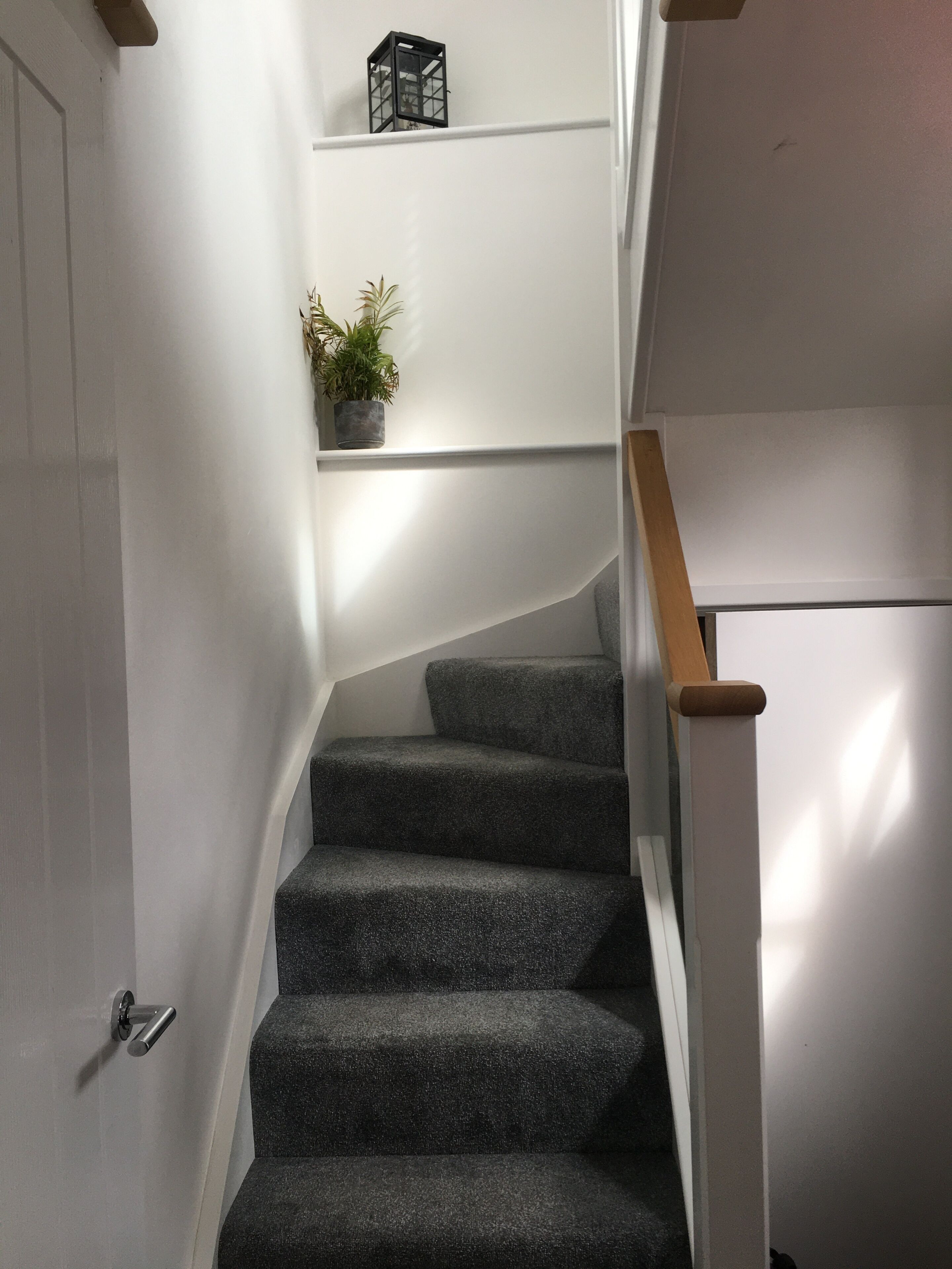 A staircase with carpeted steps, a wooden handrail, and a white door.