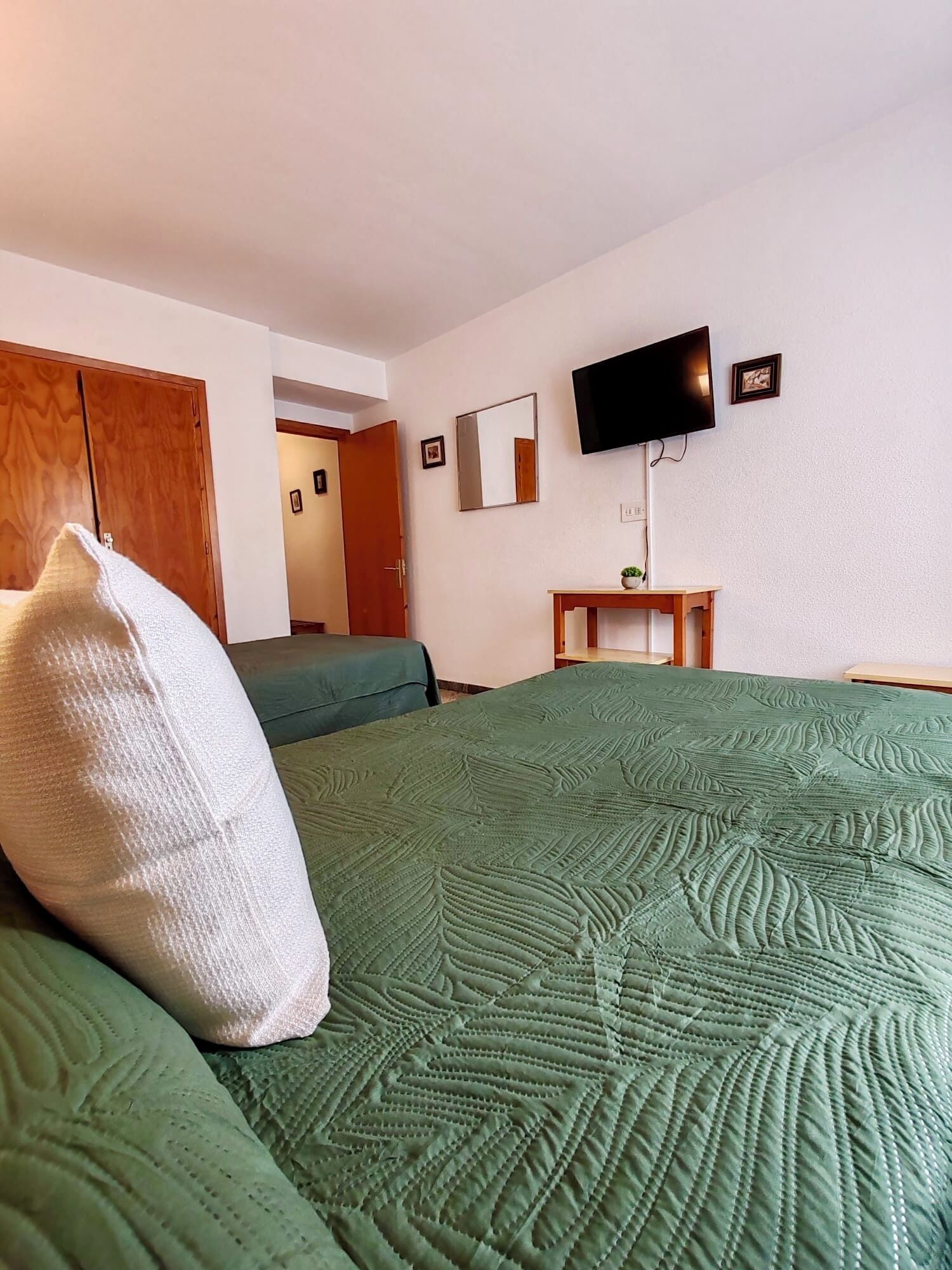 A hotel room with a bed, a television, a mirror, and a wooden door.