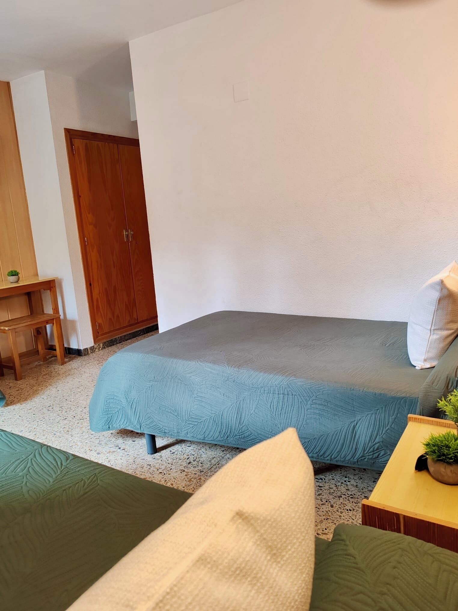 A room with a bed, a wooden desk, a wardrobe, and a small table with a plant.