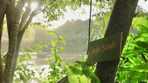 Ein Schild mit der Aufschrift 'Jungle Sounds' inmitten üppiger Vegetation und eines Flusses.