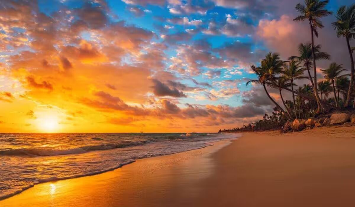 Een strand met palmbomen en een zonsondergang.