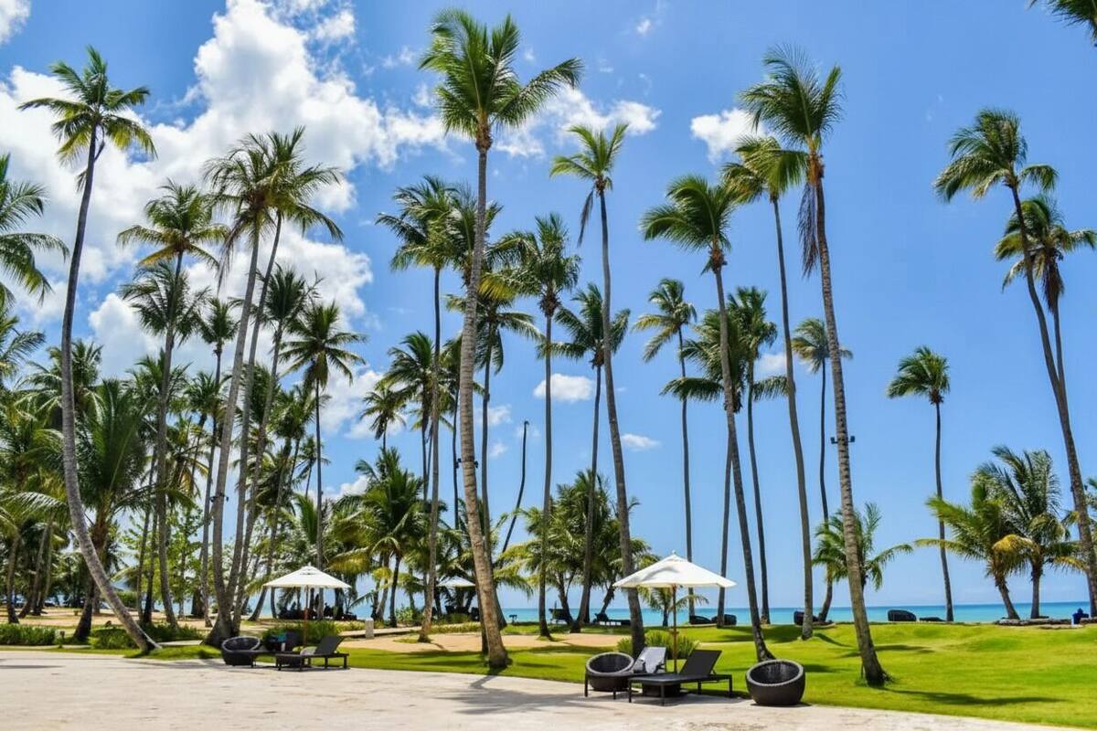 A beach resort with palm trees, lounge chairs, and umbrellas.