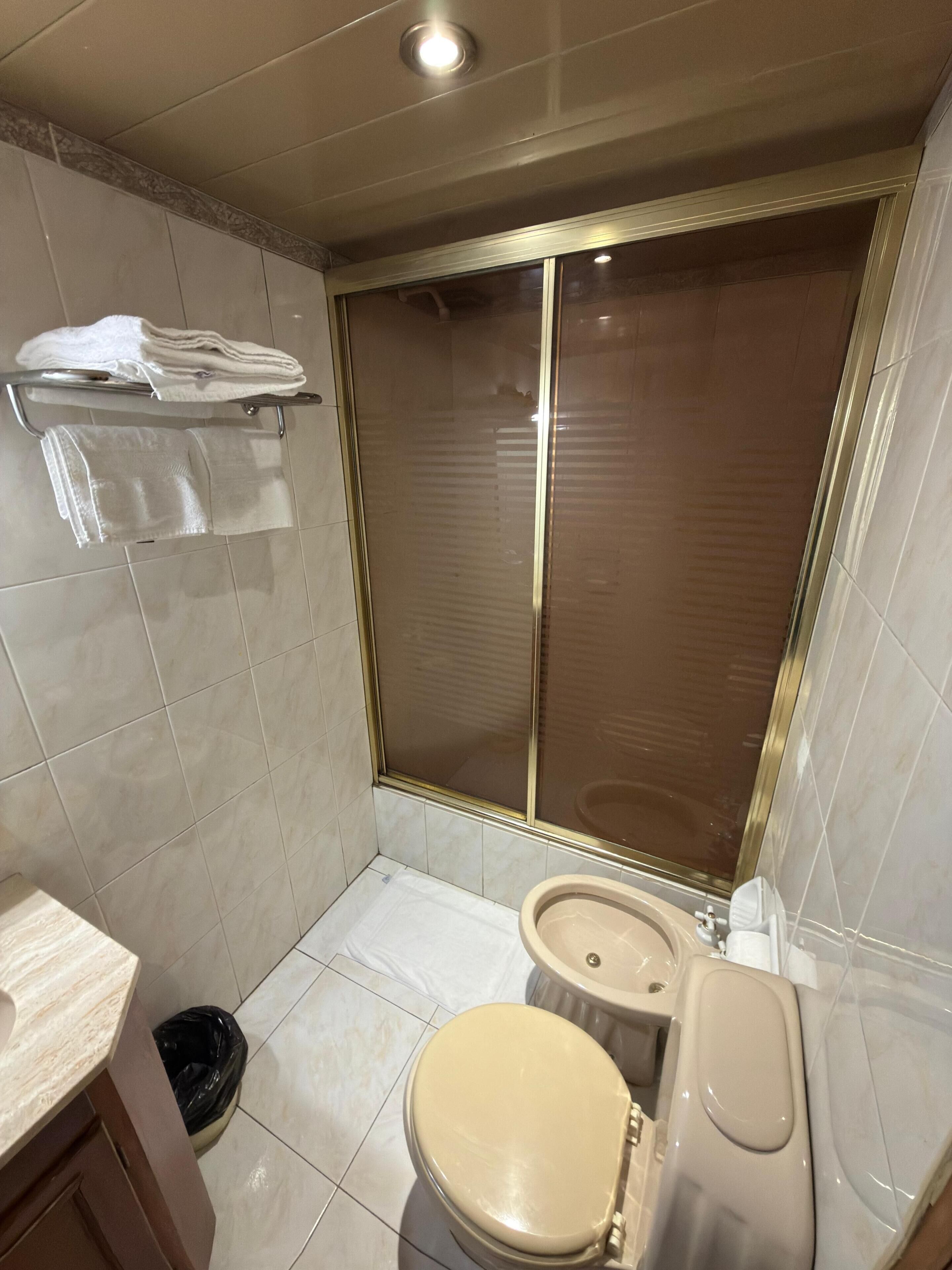 A bathroom with a toilet, bidet, and a shower enclosure.