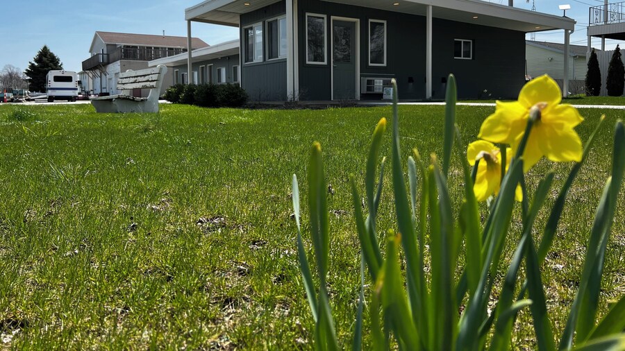The Cedar Mirco Resort