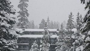 Un patio cubierto de nieve con una piscina, rodeado de árboles cargados de nieve y un edificio con techo inclinado.