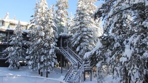 Un espacio exterior cubierto de nieve con una escalera que lleva a una estructura protegida, rodeado de árboles cargados de nieve.