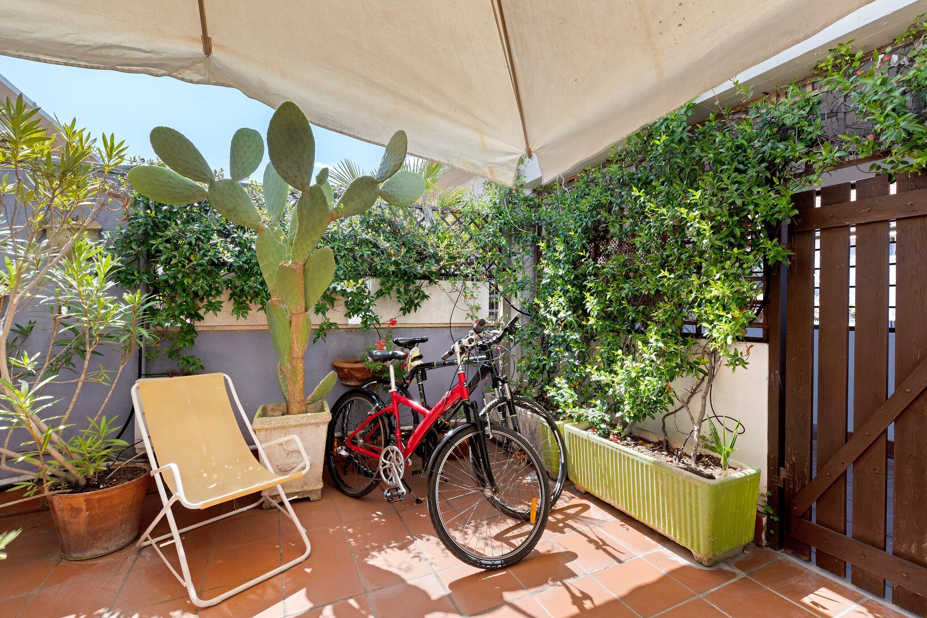 Une terrasse avec une chaise, deux vélos et un cactus.