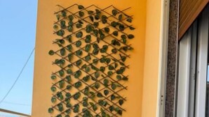 A balcony with a green cushioned chair, a white ashtray, and a wall-mounted plant grid. - Casa Teresa Guest Rooms (Parghelia)