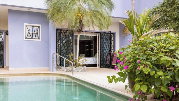 A swimming pool with a palm tree, a door with glass panels, and a plant with pink flowers. - Room-tranquil Poolside Retreat in Playa (Sardinal)