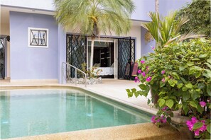 A swimming pool with a palm tree, a door with glass panels, and a plant with pink flowers. - Room-casamyra2 Starlink Wi-fi Pool Pa (Sardinal)