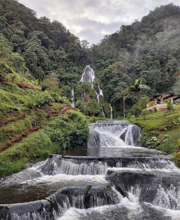 Une cascade d’eau qui dévale en plusieurs paliers sur des rochers, entourée d’une végétation luxuriante et d’une colline boisée.