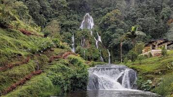 Hot springs