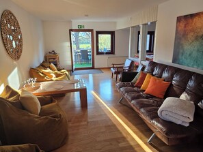 Smart-TV, Kamin