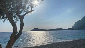 Una spiaggia con un albero e una montagna sullo sfondo.