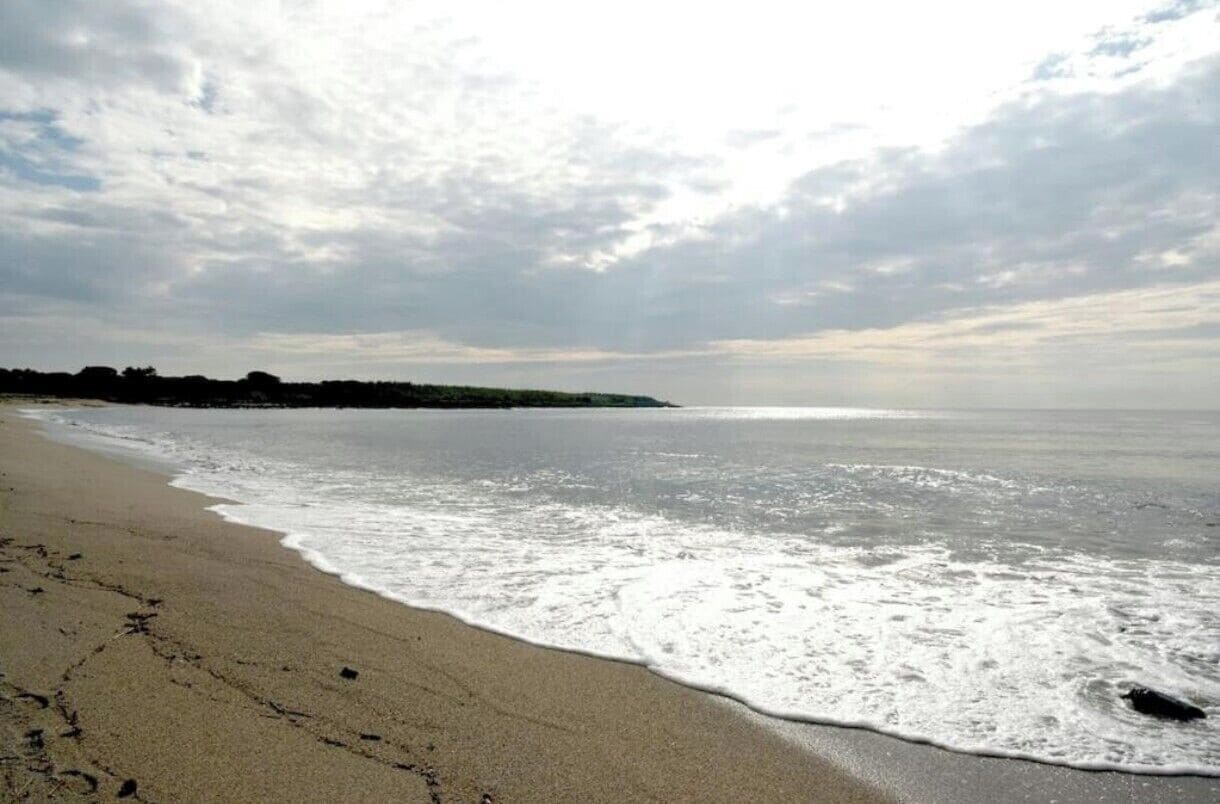 海灘