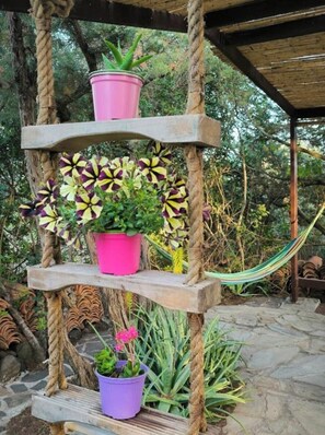 Terrein van de accommodatie