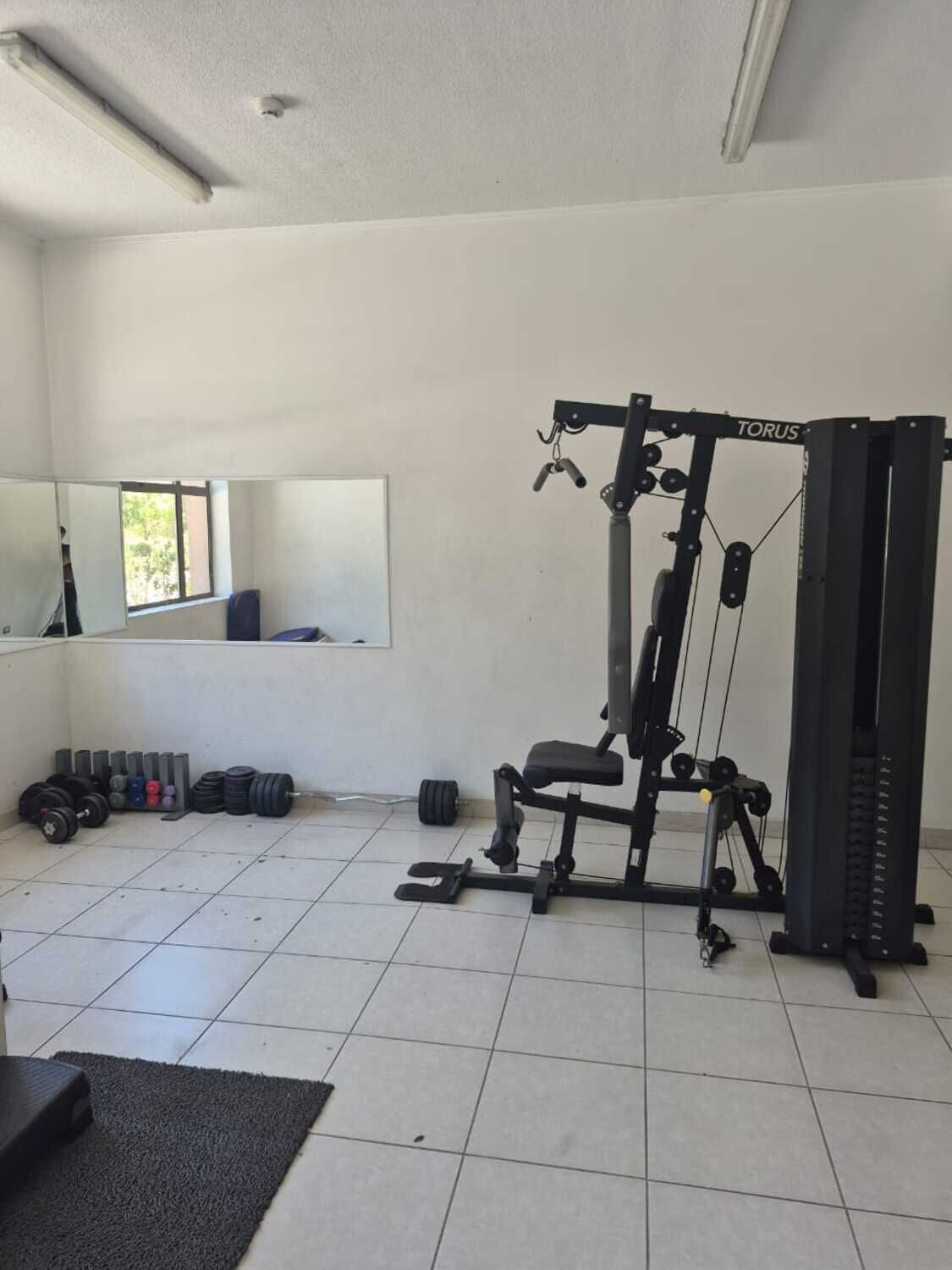 Een sportschool met een halterbank, een squatrek en diverse gewichten.
