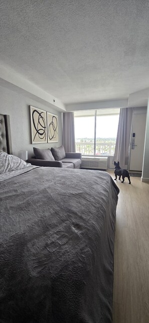 Iron/ironing board, free WiFi, bed sheets, wheelchair access - Cozy studio in a fantastic Daytona Beach location (Daytona Beach)