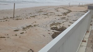 A beach with a white fence, sandy shore, and ocean waves. - Cozy studio in a fantastic Daytona Beach location (Daytona Beach)