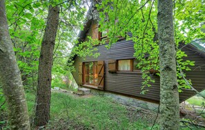 A cabin with a sloped roof, wooden exterior, and a glass door entrance.