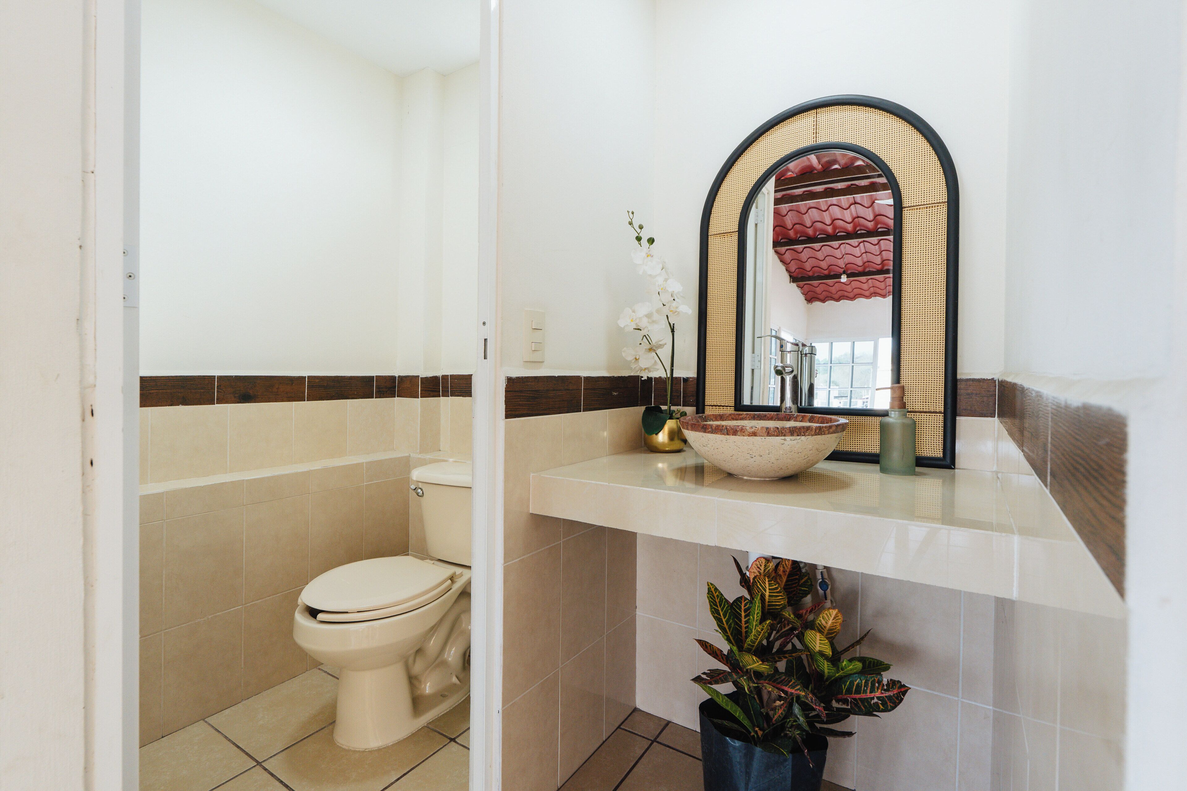 Un baño con inodoro, lavamanos con espejo y una planta en maceta.