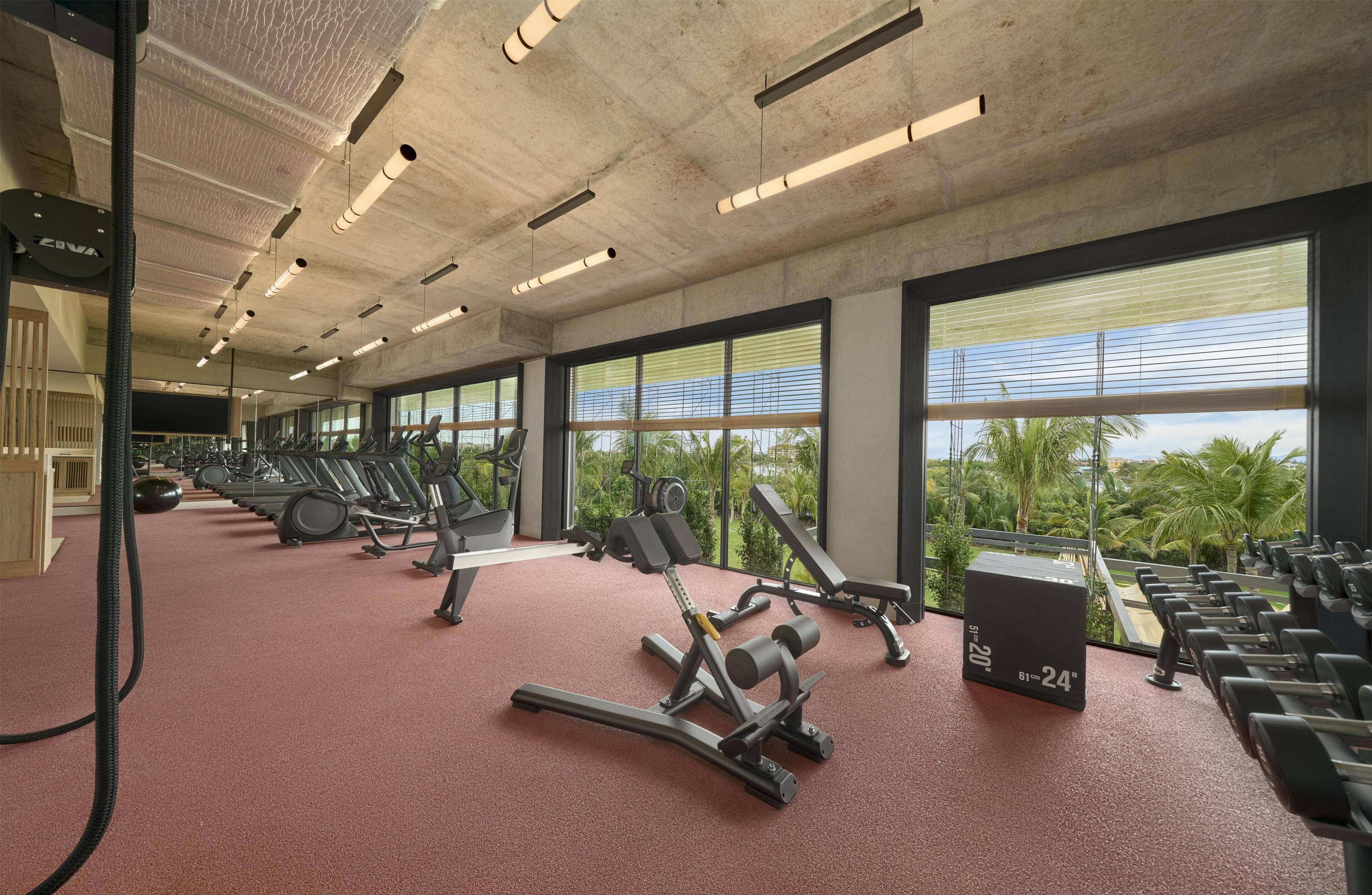 Gimnasio