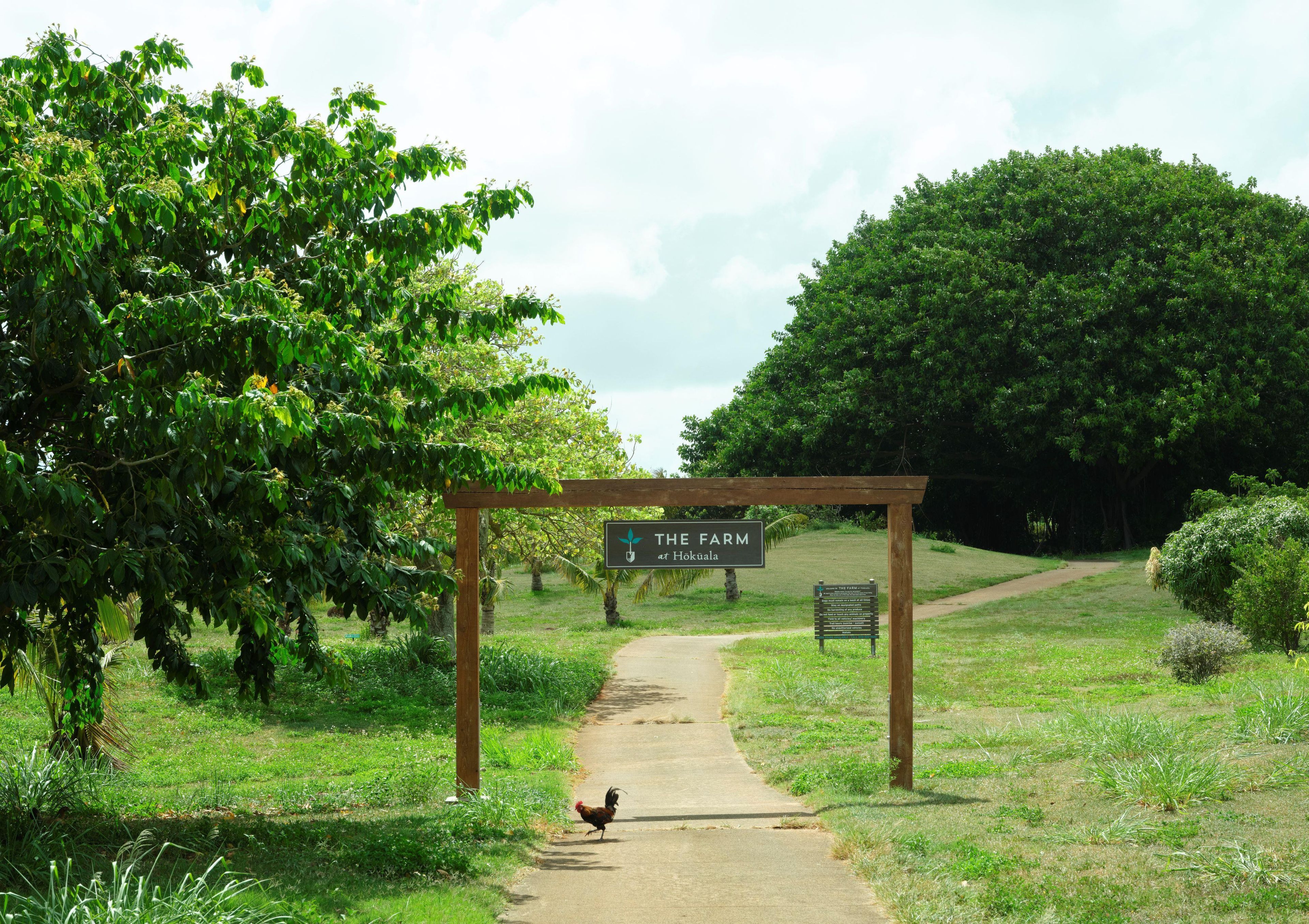 A pathway leading to a sign labeled 'The Farm at Hokoa.'