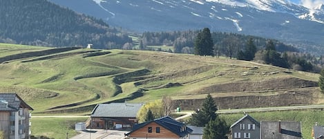 Boendeområde