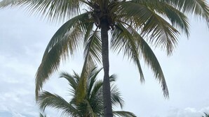 A beach with palm trees, lounge chairs, and a pool. - Blue Escape Suite (rio hato)