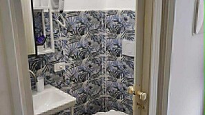 Sèche-cheveux, serviettes fournies, savon, papier toilette