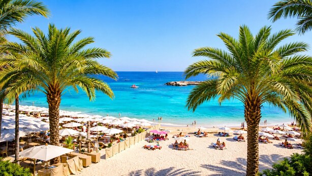 Una playa con palmeras, sillas de playa y sombrillas.