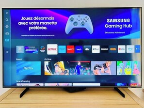 Television - Princess Palace Monaco (Monaco)
